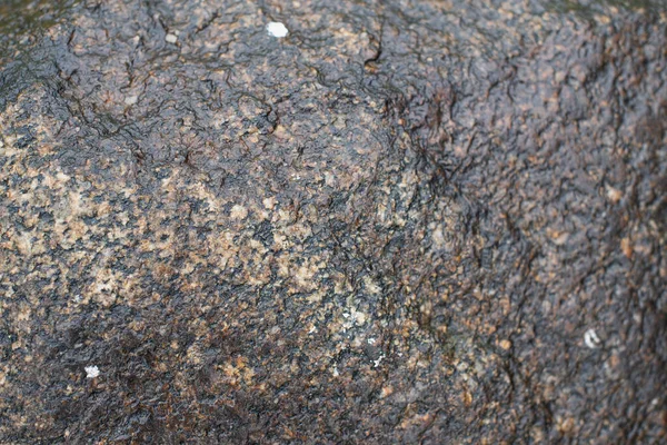 Superfície texturizada de pedra de granito preto para fundo. superfície de pedra molhada da chuva. — Fotografia de Stock