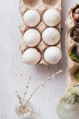 Yumurta kutusunda yumurta kabuğu şeklinde beyaz Paskalya dekoru. Yumurtadan çıkmış civciv kavramı ve kurumuş yapraklar, koniler ve fındıklarla kaplanmış bir ormanda terk edilmiş bir yuva..