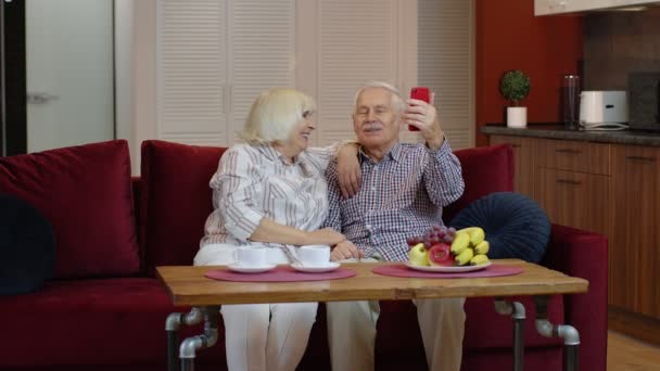 Mormor och morfar gör videosamtal online på mobiltelefon hemma. Leende äldre par — Stockvideo