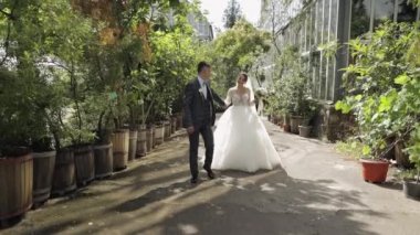 Yeni evliler. Beyaz damat ve gelin yürüyor. Parkta el ele tutuşmak. Aşık düğün çifti