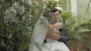 Yeni evliler. Gelin ile beyaz damat parkta yürüyor, sarılıyor, sarılıyor. Düğün çifti
