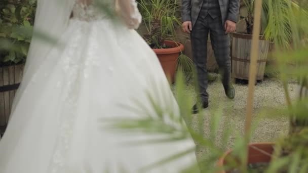 Recién casados. novio caucásico con novia caminando en el parque. Pareja de bodas. Hombre y mujer enamorados — Vídeos de Stock