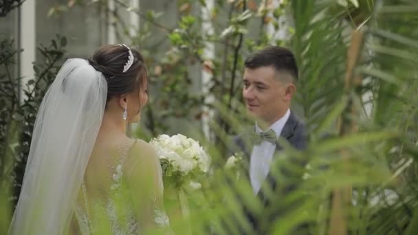 Recién casados. novio caucásico con novia caminando en el parque. Pareja de bodas. Hombre y mujer enamorados — Vídeo de stock