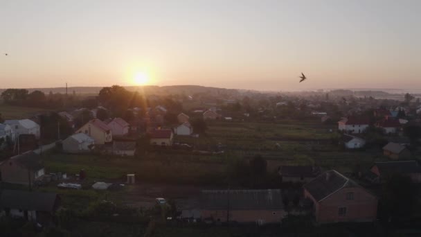 Pandangan pesawat tak berawak di atas desa tua saat matahari terbit. Burung layang-layang terbang dalam kawanan besar — Stok Video