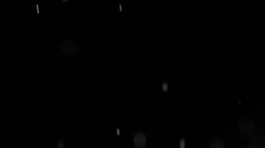 Gerçek yağmur damlaları ya da kar 4K alfa kanalı görüntüleri. Sağanak yağış, sağanak, kar