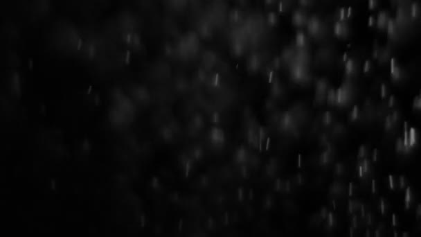 Vere gocce di pioggia cadono o neve 4K alfa filmato del canale. Pioggia forte caduta, pioggia tempesta, nevicate — Video Stock