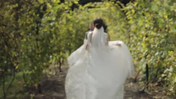 Adoráveis recém-casados noiva caucasiana abraçando noivo no parque fazendo beijo, casamento casal família abraçando — Vídeo de Stock