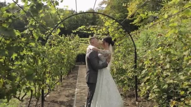 Bella sposi sposa caucasica abbracciando sposo nel parco rendendo bacio, matrimonio coppia famiglia abbracci — Video Stock
