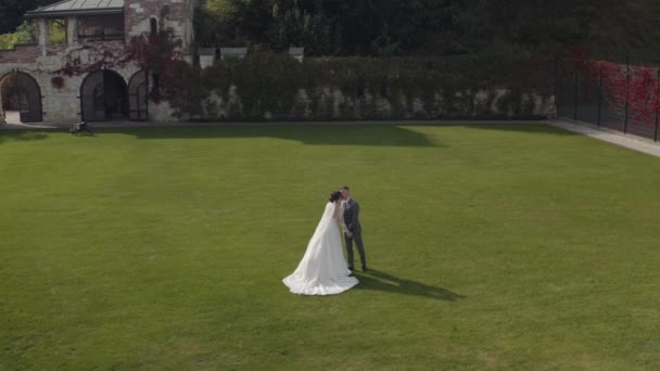 Krásná novomanželé kavkazská nevěsta objímající ženicha v parku dělat polibek, svatební pár rodina objímání — Stock video
