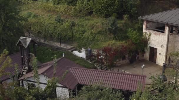 Bella sposi caucasico sposo passeggiando nel parco, tenendosi per mano, matrimonio coppia famiglia — Video Stock