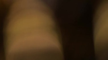 Çok renkli ışık, siyah arkaplanda görüntü sızdırıyor. Lens sızıntısı, geçişleri engelliyor.