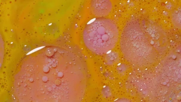 Brillante burbujas de colores de neón aceite y tinta, pintura acrílica en movimiento de cerca, fondo de pantalla — Vídeo de stock