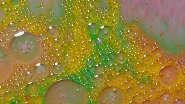 Bubbels drijven in vloeibare verf, mengen inkt, olie en melk, abstract veelkleurig hypnotisch schilderen — Stockvideo