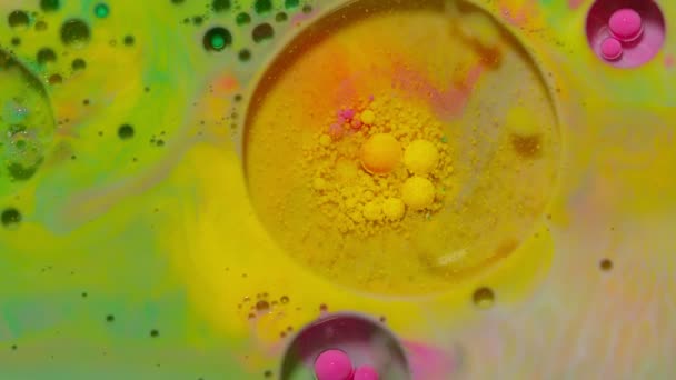 Des bulles flottent dans la peinture liquide, mélangeant encre, huile et lait, peinture hypnotique multicolore abstraite — Video