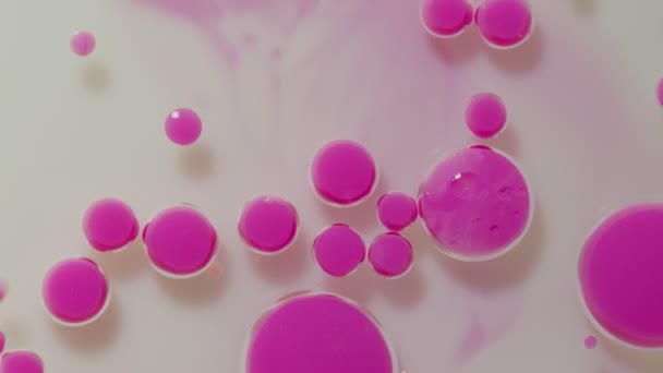 Fantastische structuur van kleurrijke olieverf en inkt bellen, chaotische beweging, abstracte kleurrijke verf — Stockvideo