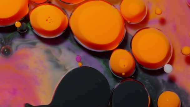 Olajból, tejből, szappanból, fényes akrilfestékből álló folyékony anyaggal kevert festékbuborékok színes felületen — Stock videók