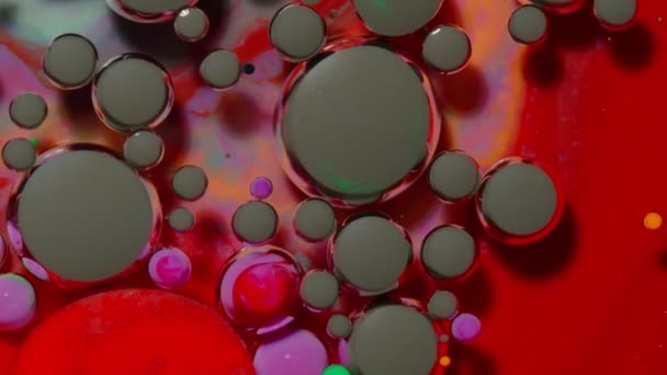 Macro structure of multicolored water paint oil bubbles movement, bright colorful acrylic painting — Stock Video