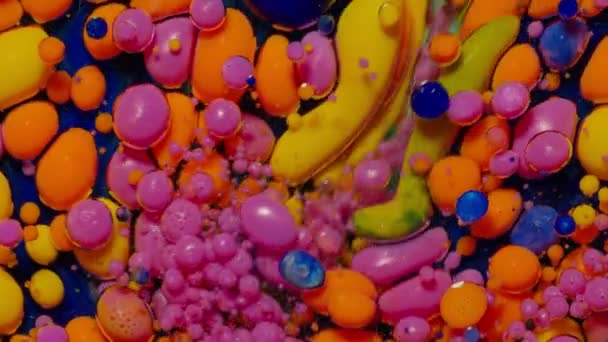 Horní pohled pohyb růžový olej kapky inkoustu bubliny, pestrobarevné umělecké barvy povrch pozadí — Stock video