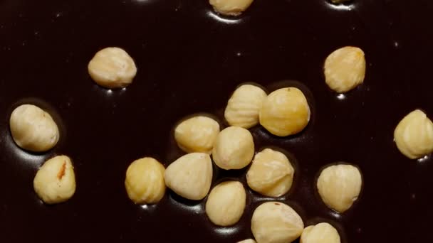 Gesmolten vloeibare pure chocolade en hazelnoten roterende close-up bovenaanzicht van gesmolten vloeibare warme chocolademelk — Stockvideo