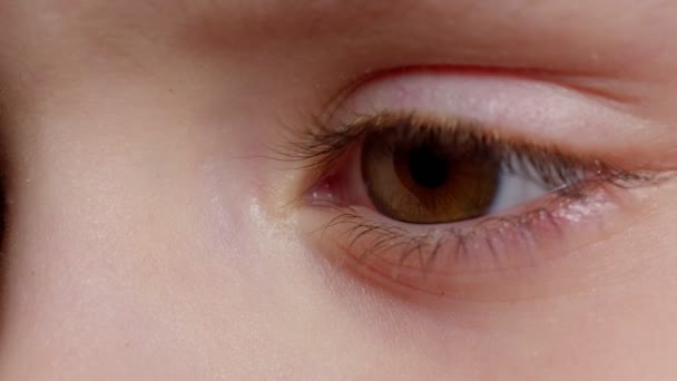 Highly detailed macro shot opening, closing brown color pigmentation eyes of little children girl — Stock Video