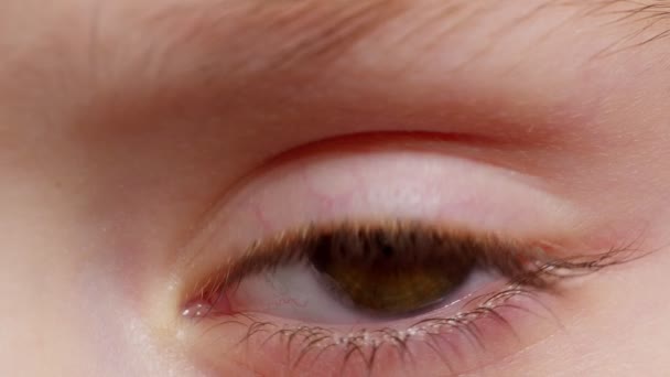 Hoch detaillierte Makroaufnahme Öffnung, Schließen brauner Farbpigmentierung Augen von kleinen Kindern Mädchen — Stockvideo