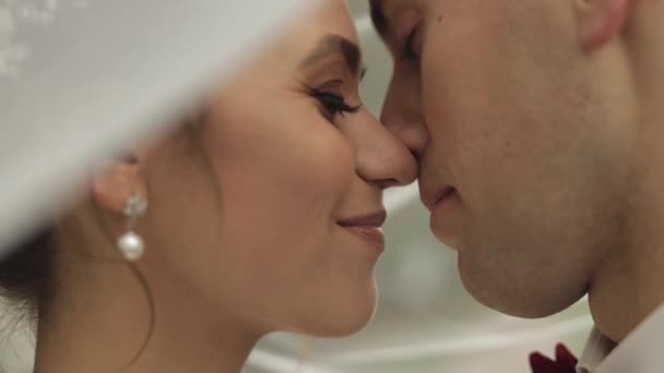 Ritratto di bella sposa caucasica che abbraccia lo sposo, coppia di sposi che abbraccia la famiglia — Video Stock