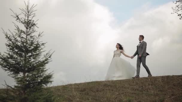 Прекрасний молодий молодий наречений наречений ходить по гірському схилу, тримає руки, сім'я весільної пари — стокове відео
