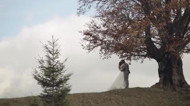 Όμορφη νεαρή νιόπαντροι νύφη και γαμπρός αγκαλιάζει, κάνοντας ένα φιλί στην πλαγιά του βουνού, ζευγάρι γάμου — Αρχείο Βίντεο