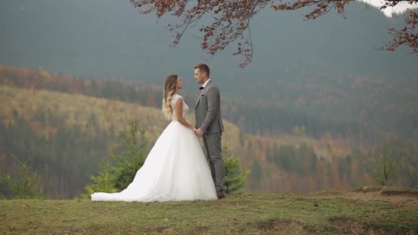 Härliga unga nygifta brudgummen omfamna på bergssluttningen, hålla händer, bröllop par familj — Stockvideo