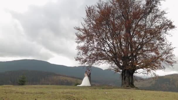 Gyönyörű fiatal friss házasok menyasszony és vőlegény ölelés hegyi lejtőn, esküvő pár család szerelmes — Stock videók