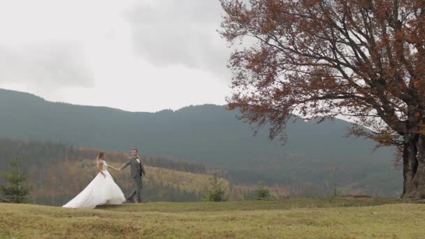 Precioso caucásico boda recién casados familia novia novio caminando, cogido de la mano en la colina pendiente de la montaña — Vídeos de Stock