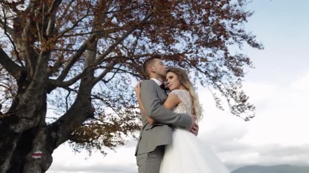 Schöne junge Brautpaar Bräutigam Umarmung auf bewölkten Himmel Hintergrund, Hochzeitspaar Familie in Liebe — Stockvideo