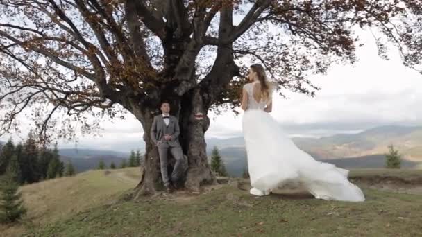 Casamento caucasiano encantador casal recém-casados noivo da noiva da família ficar juntos na colina inclinação montanha — Vídeo de Stock