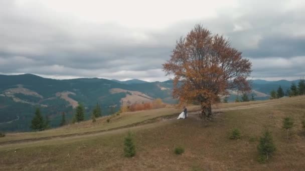 Lovely young newlyweds bride and groom embracing, making a kiss on mountain slope, wedding couple — Stock Video