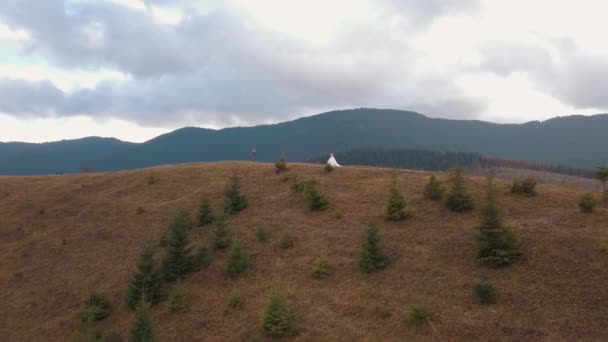 Όμορφη νεαρή νιόπαντρη νύφη γαμπρός αγκαλιάζει στην πλαγιά του βουνού, ευτυχισμένο γάμο ζευγάρι οικογένεια στην αγάπη — Αρχείο Βίντεο