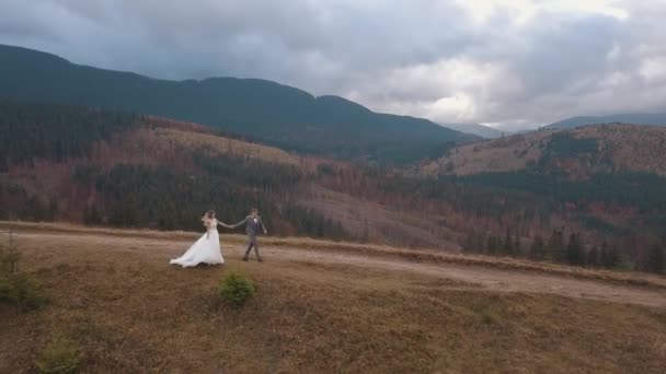 Mariés mariés marié marchant sur la pente de la montagne, faire un baiser, couple de mariage famille, vue aérienne — Video