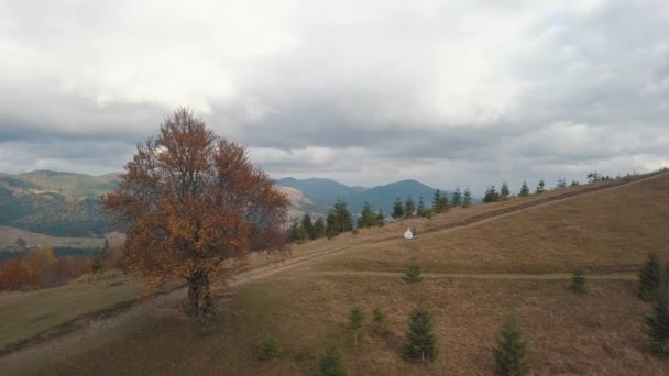 Bella giovane sposi sposo in esecuzione sul pendio della montagna, la famiglia coppia di nozze, vista aerea — Video Stock