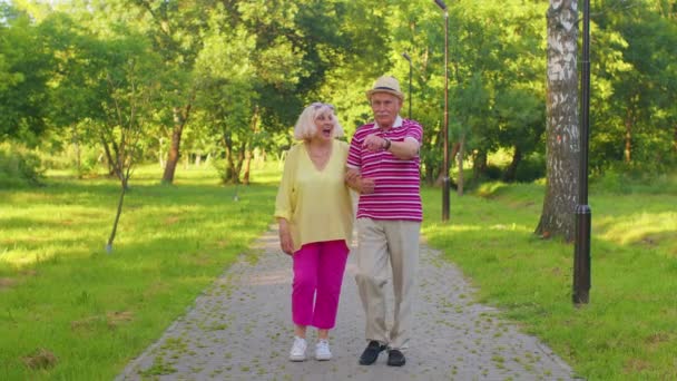 Yaşlı, şık emekliler. Büyükanne, büyükbaba yürüyor, parkta birlikte vakit geçiriyorlar. — Stok video