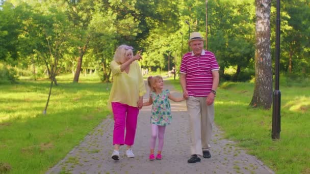 Niña niña caminando con la abuela mayor y la familia del abuelo tomados de la mano en el parque de verano — Vídeo de stock