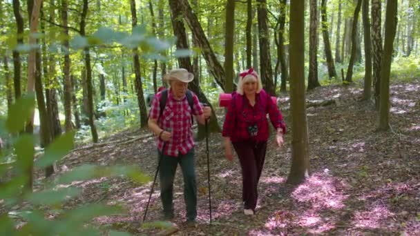 快乐的老人和女人交谈，训练北欧人走在远足的柱子上，背包在木头里 — 图库视频影像