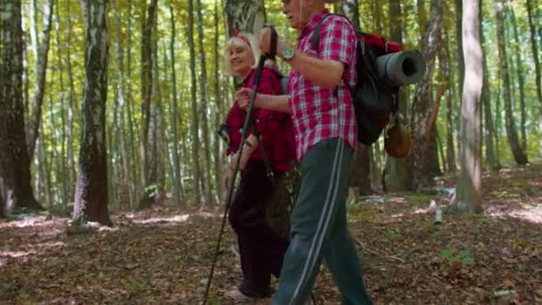 Starsi aktywni turyści babcia dziadek szkolenia nordic walking z kijkami trekkingowymi w lesie — Wideo stockowe