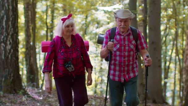 Anciano anciano abuela abuelo formación nórdica caminar con bastones de esquí trekking en madera — Vídeo de stock