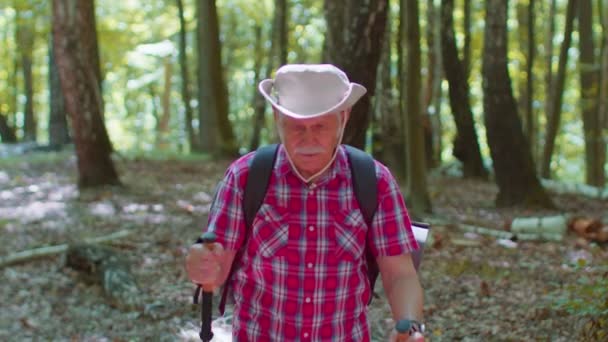 Senior äldre turist farfar utbildning Nordic walking med ski vandringsstavar, vandring i trä — Stockvideo