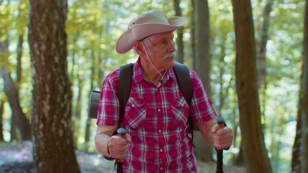 Senior grootvader toerist bezig met Nordic walking sport wandelen met rugzakken, trekking palen — Stockvideo