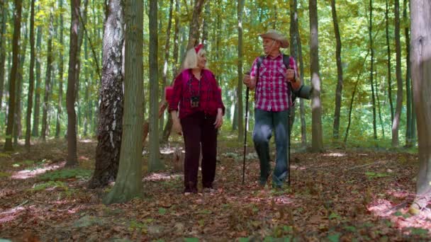 Ανώτεροι ενεργοί πεζοπόροι γιαγιά παππούς κατάρτιση Nordic περπάτημα με πεζοπορία πόλους στο δάσος — Αρχείο Βίντεο