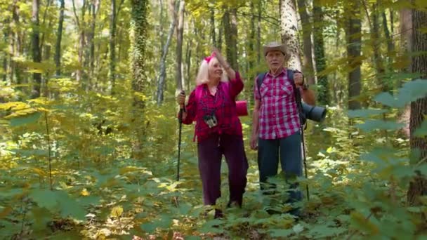 Senior grey-haired grandmother grandfather tourists hiking with backpacks and trekking poles in wood — Stock Video