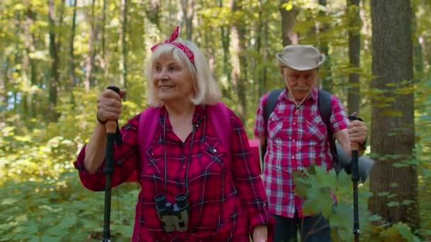 Äldre äldre mormor morfar utbildning Nordic walking with ski trekking poles in wood — Stockvideo