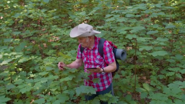 積極的な高齢者の祖父の冒険家彼女のデジタルタブレットで森の木、植物を探索 — ストック動画