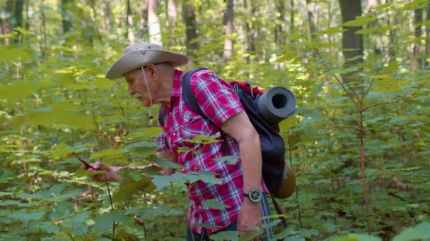 Gepensioneerde oudere grootvader avonturier verkennen bos bomen, planten met smartphone in hout — Stockvideo