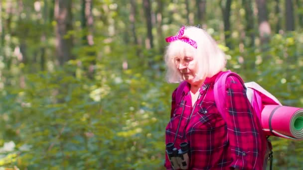 Mujer turista abuelita monitorea el ritmo cardíaco mientras viaja senderismo en madera, control de actividad física — Vídeo de stock